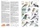Le guide ornitho. Le guide le plus complet des oiseaux d'Europe, d'Afrique du Nord et du Moyen-Orient 3e édition
