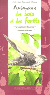 Animaux Des Bois Et Des Forets