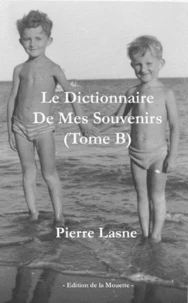 Le dictionnaire de mes souvenirs