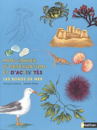 Les bords de mer