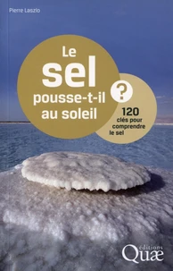 Le sel pousse-t-il au soleil ?