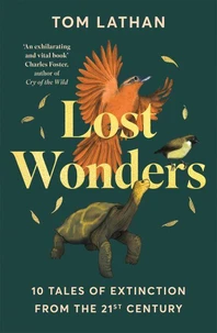 Lost Wonders