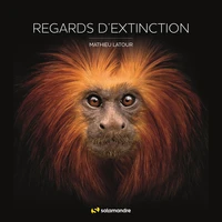Regards d'extinction