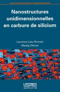 Nanostructures unidimensionnelles en carbure de silicium