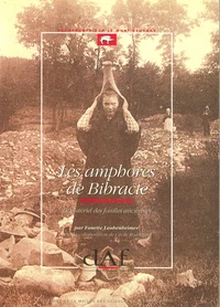 Les amphores de Bibracte