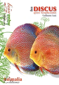 Le discus