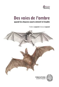 Des voies de l'ombre : quand les chauves-souris sèment le trouble