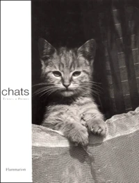 Chats. Textes & Poemes