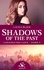 Shadows of the past. Tome3, Unexpected love