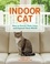 Indoor Cat. How to Enrich Their Lives and Expand Their World