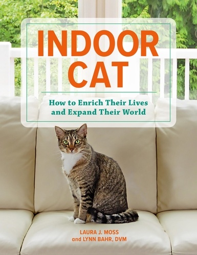 Indoor Cat. How to Enrich Their Lives and Expand Their World