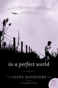 Laura Kasischke - In a Perfect World.