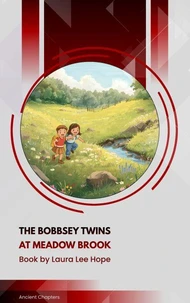 The Bobbsey Twins at Meadow Brook
