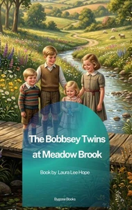 The Bobbsey Twins at Meadow Brook