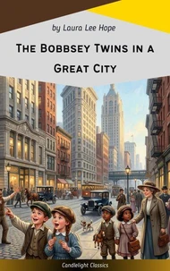 The Bobbsey Twins in a Great City