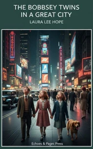 The Bobbsey Twins in a Great City