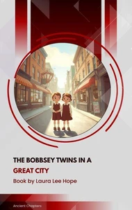 The Bobbsey Twins in a Great City