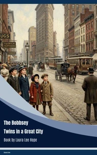 The Bobbsey Twins in a Great City
