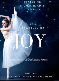 Startled by Joy 2019