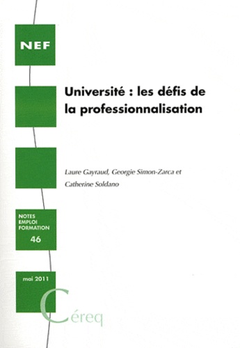 Laure Gayraud et Georgie Simon-Zarca - Université : les défis de la professionnalisation.