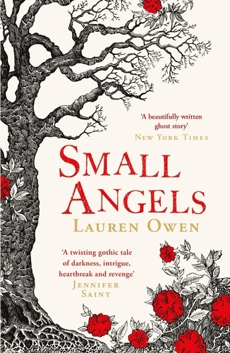 Small Angels. 'A twisting gothic tale of darkness, intrigue, heartbreak and revenge' Jennifer Saint
