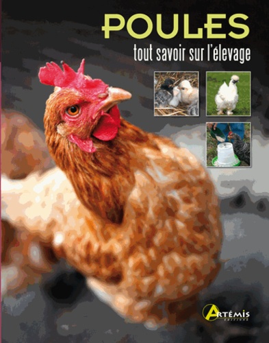 Laurence Beeken - Poules - Tout savoir sur l'élevage.