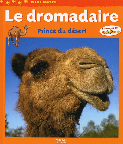 Laurence Ottenheimer - Le dromadaire - Prince du désert.