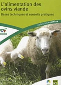 L'alimentation des ovins viande