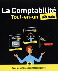 Laurence Thibault - La Comptabilité tout-en-un pour les Nuls - Coffret en 2 volumes.