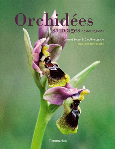 Laurent Bessol et Caroline Lesage - Orchidées sauvages de nos régions.