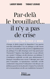Par-delà le brouillard... il n'y a pas de crise