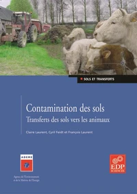 Contamination des sols
