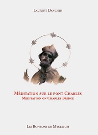 Laurent Danchin - Méditations sur le Pont Charles.