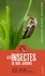 Les insectes de nos jardins. + de 100 espèces à reconnaître