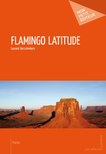 Laurent Gersztenkorn - Flamingo latitude.