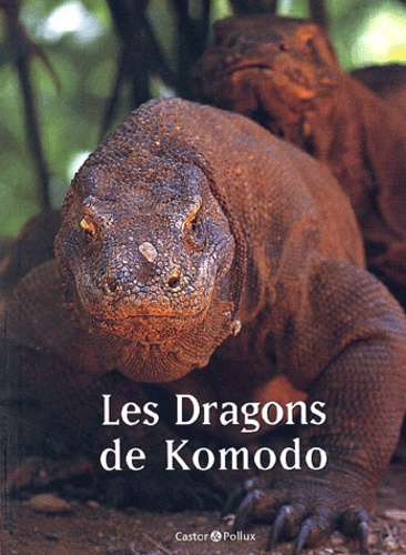 Laurent Henin et Jean-Luc Petit - Les Dragons De Komodo.