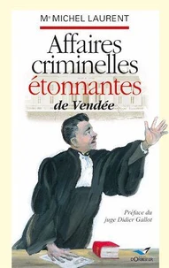 Affaires criminelles étonnantes en Vendée