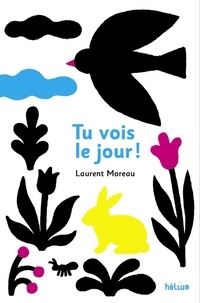 Laurent Moreau - Tu vois le jour.