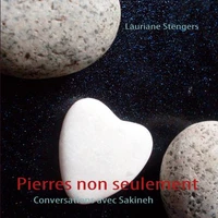 Pierres non seulement