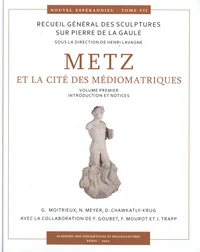 Metz et la cité des Médiomatriques