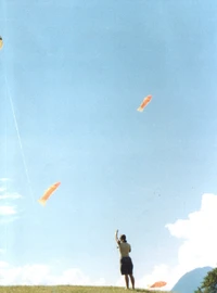 14e Biennale de Lyon