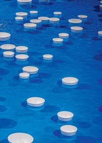 Céleste Boursier-Mougenot, clinamen