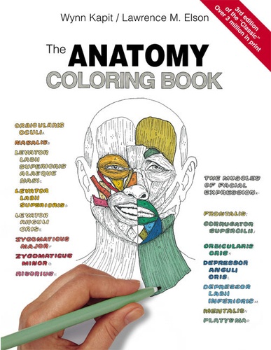 Lawrence-M Elson et Wynn Kapit - The Anatomy Coloring Book. 3rd Edition.