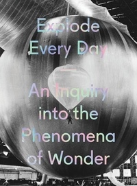 Lawrence Weschler - Explode every day an inquiry into the phenomena of wonder.