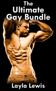 The Ultimate Gay Bundle (an anthology of 13 gay BDSM and group short stories)