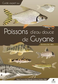 Guide expert des poissons d'eau douce de Guyane