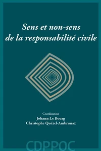 Sens et non-sens de la responsabilité civile