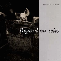 Regard sur soies