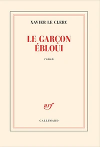 Le garçon ébloui