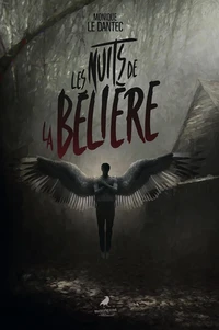 Les nuits de la Belière
